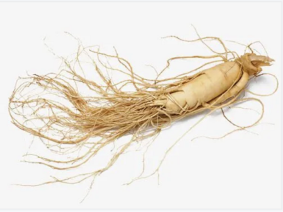 The main value of ginseng