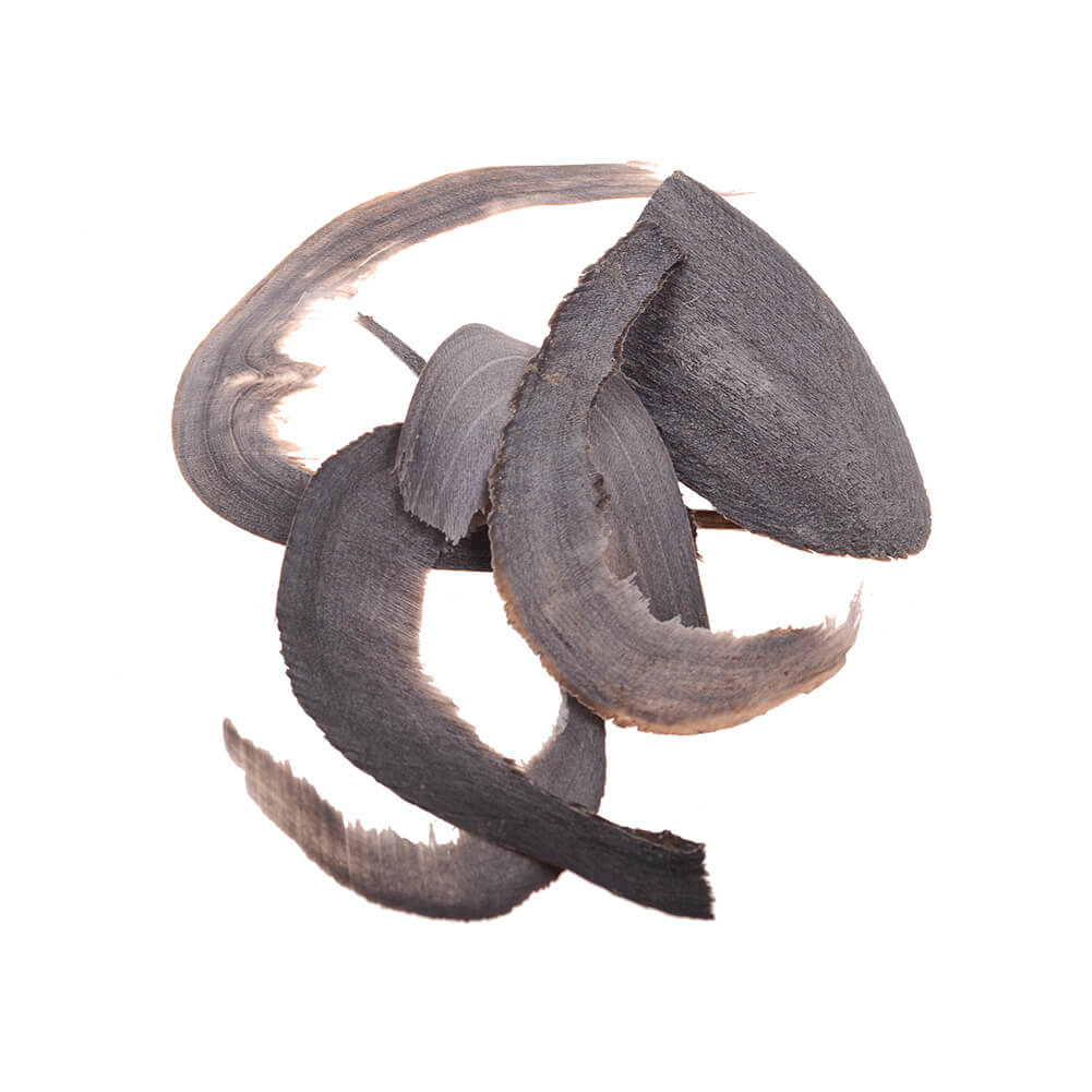 Buffalo Horns Chinese Medicine (shui niu jiao) OkayHerb