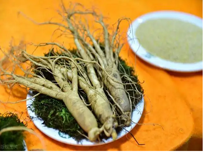  Cultivation technology of ginseng - part 2